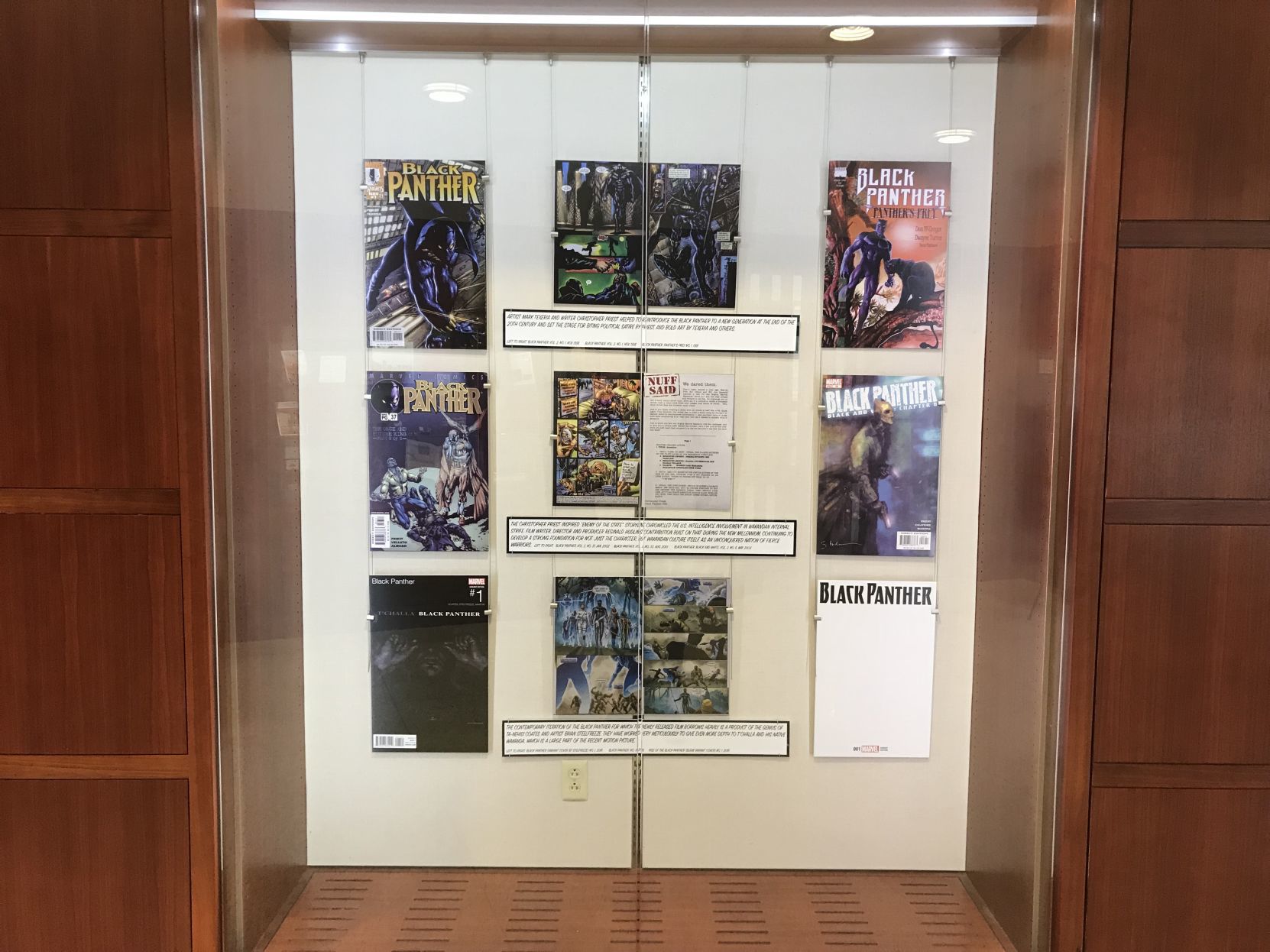 Black Panther comics